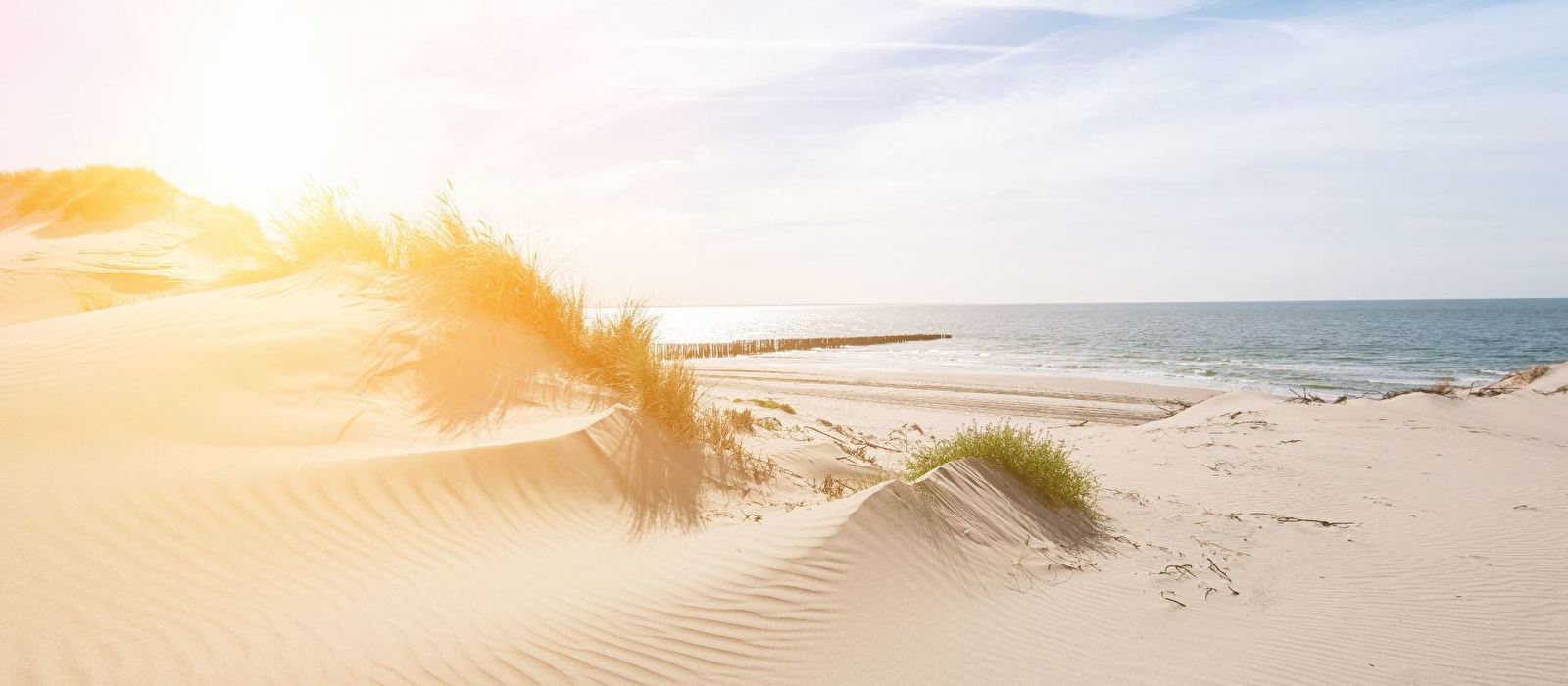 De Zeeuwse Stromen Hotel Renesse Officiële Website