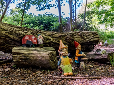 Eropuit! Kabouterbos Renesse