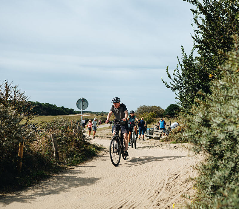 Bike rental and routes