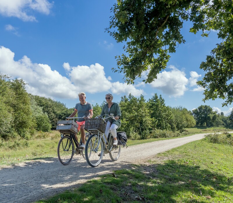 Bike rental and routes