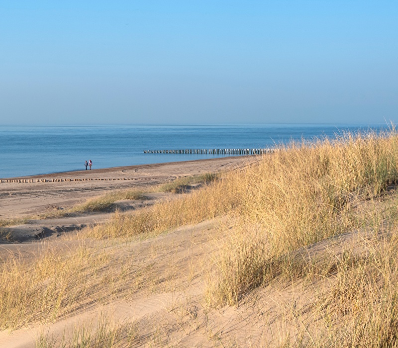 Renesse live in beeld