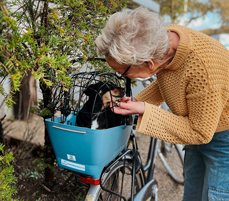 Vanaf nu in de verhuur: de hondenfietsmand!