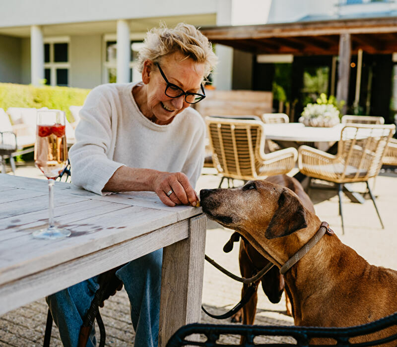 (zee)Hondvriendelijk hotel 