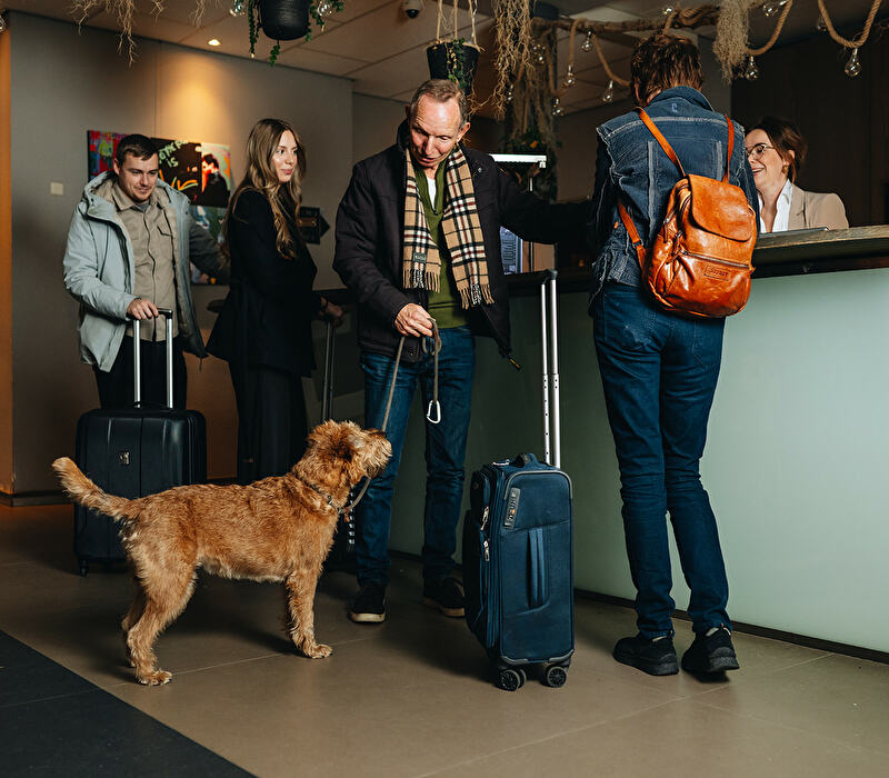 Hundefreundliches Hotel